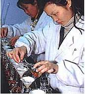 冠元顆粒製造